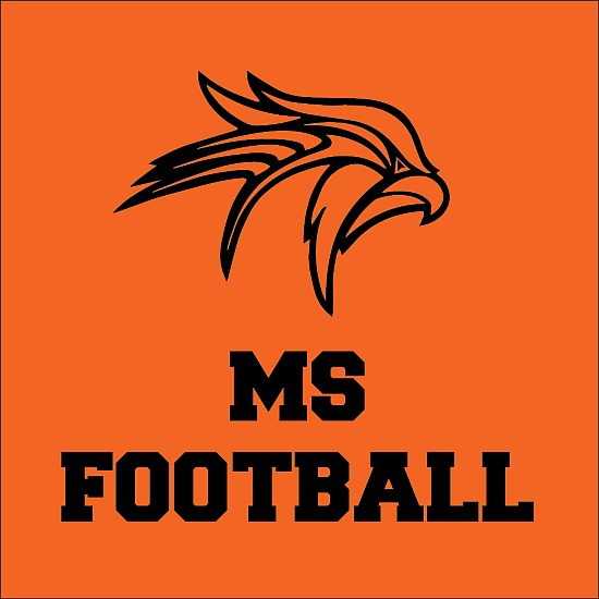 FMS Football