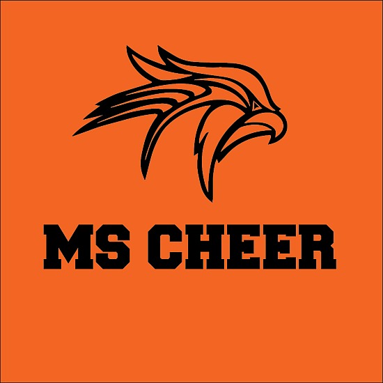 FMS Sideline Cheer